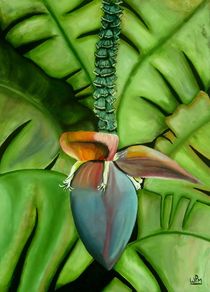 Banana flower by Wendy Mitchell