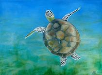 Green Turtle by Wendy Mitchell