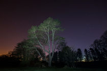 Night Landscape von Sam Smith