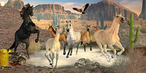 Desert Horses von Peter J. Sucy