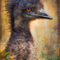 Finer-feathered-friends-emu