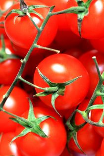 Tomaten von Petra Koob