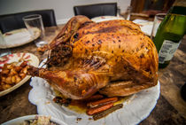 turkey dinner by digidreamgrafix