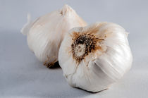 garlic by digidreamgrafix