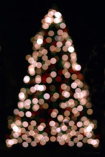 christmas tree by digidreamgrafix
