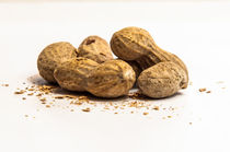 peanuts by digidreamgrafix