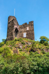 Burg Nollig bei Lorch II by Erhard Hess