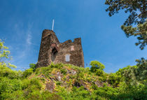 Burg Nollig bei Lorch by Erhard Hess
