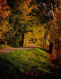  Autumn - On the Way von Selcuk Yücel