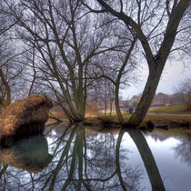 Willow Reflections by Keld Bach
