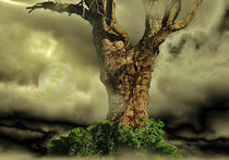 Tree Dream by CHRISTINE LAKE