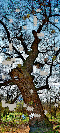 Jigsaw of an old tree von Leopold Brix