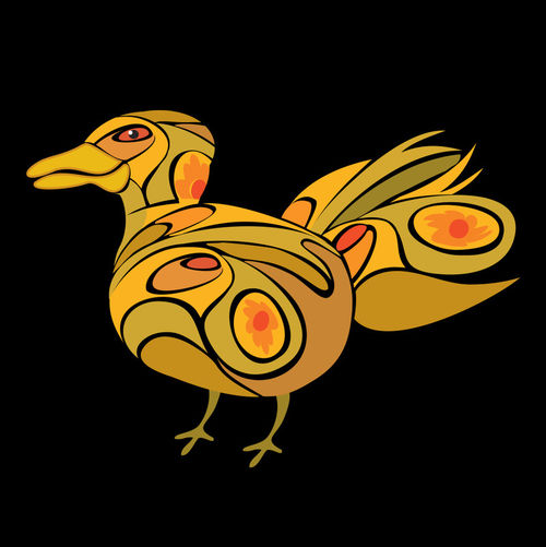 Puerto-vallarta-peacock