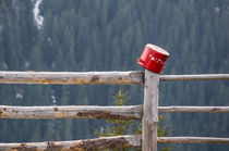 Pot on a fence by Octavian Iolu