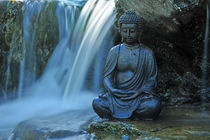 Buddha am Wasserfall  by Ingo Laue