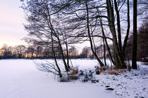 Winter Impression by Keld Bach