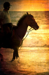 Sunset Horse von loriental-photography