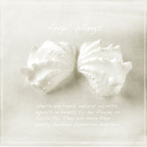 Angel Wings by Linde Townsend