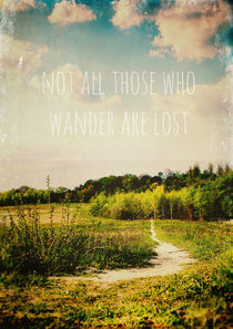 not all those who wander are lost von Sybille Sterk