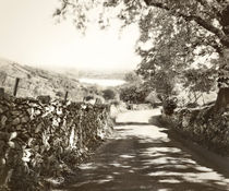 Country Road von Linde Townsend