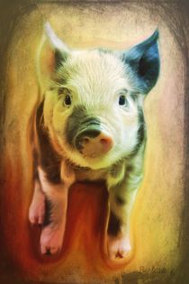 Pig is beautiful von barbara orenya