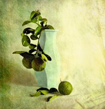 Lime Light by Linde Townsend
