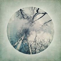 round treetops III by Priska  Wettstein