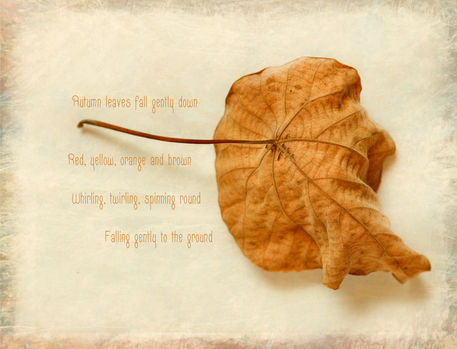 Leaves-poem