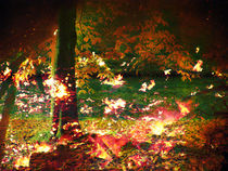 Herbstlicher Einfall |As Autumn Falls | Incidencia de otoño von artistdesign