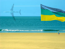 Strandfahne | Beach Flag | Bandera de playa by artistdesign