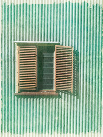 Vintage Shutters by Linde Townsend