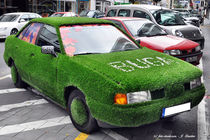 Gras-Audi, ausgefallenes Auto von shark24
