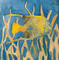tropical fish square painting von Derek McCrea