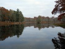 lake in autumn by Wolfgang Schweizer