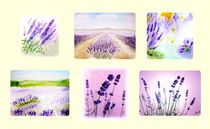Lavendel  by Maria-Anna  Ziehr