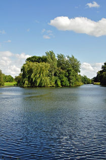 Markeaton Park Lake, Derby von Rod Johnson