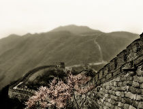 The Great Wall von Linde Townsend