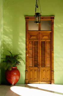 Merida Door and Plant Mexico by John Mitchell
