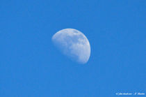 Mond am Tage, Planeten, Erdtrabant by shark24
