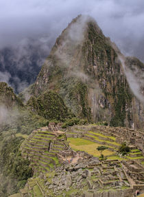 Machu Picchu IV by Steffen Klemz