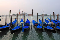 Venice, gondolas  von Alexander Borais
