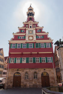 Altes Rathaus, Esslingen von safaribears