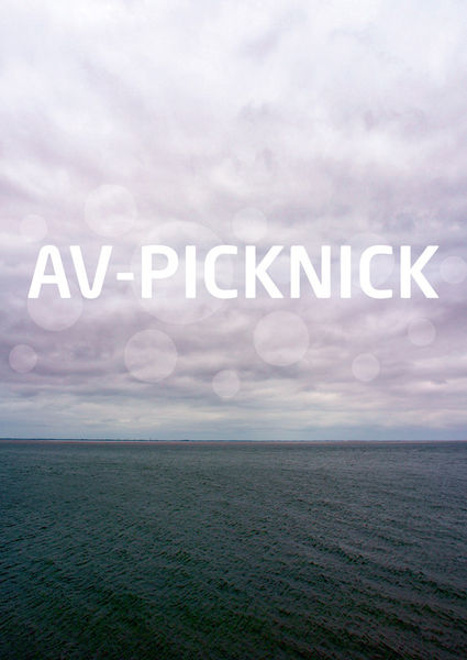 Av-picknick-03