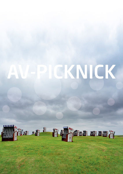 Av-picknick-04