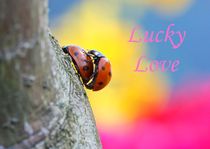 Lucky Love by dirk driesen