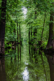 Spreewald by Andreas Levi