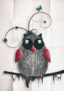 Little Owl by Sybille Sterk