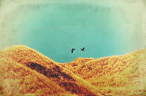 Freedom Vintage by AD DESIGN Photo + PhotoArt