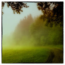 Romantische Waldlandschaft by Gina Koch