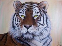 Tiger - Big Boss by Sieglinde Talke
